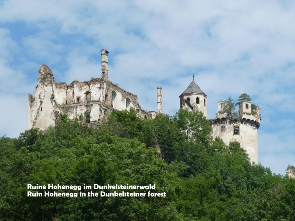 Gaestehaus Am Weinberg - Schlager Prinzersdorf Екстериор снимка